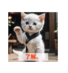 子猫が返事（肯定のみ）（個別スタンプ：35）
