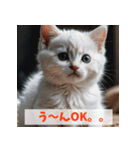 子猫が返事（肯定のみ）（個別スタンプ：36）