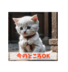 子猫が返事（肯定のみ）（個別スタンプ：39）