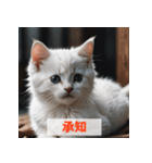 子猫が返事（肯定のみ）（個別スタンプ：40）