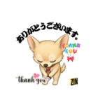 キュートなチワワのLINEスタンプ（個別スタンプ：4）