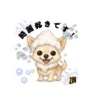 キュートなチワワのLINEスタンプ（個別スタンプ：7）