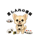 キュートなチワワのLINEスタンプ（個別スタンプ：8）