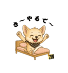 キュートなチワワのLINEスタンプ（個別スタンプ：10）