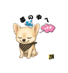 キュートなチワワのLINEスタンプ（個別スタンプ：12）