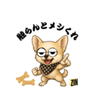 キュートなチワワのLINEスタンプ（個別スタンプ：14）