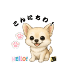 キュートなチワワのLINEスタンプ（個別スタンプ：20）