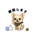 キュートなチワワのLINEスタンプ（個別スタンプ：30）