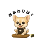 キュートなチワワのLINEスタンプ（個別スタンプ：31）