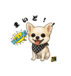 キュートなチワワのLINEスタンプ（個別スタンプ：35）