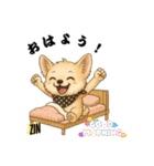 キュートなチワワのLINEスタンプ（個別スタンプ：36）