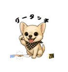 キュートなチワワのLINEスタンプ（個別スタンプ：37）