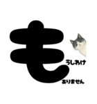 敬語★白黒ねこのていねいスタンプ（個別スタンプ：5）