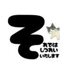 敬語★白黒ねこのていねいスタンプ（個別スタンプ：15）