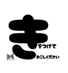 敬語★白黒ねこのていねいスタンプ（個別スタンプ：16）