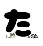敬語★白黒ねこのていねいスタンプ（個別スタンプ：24）