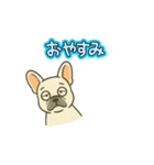 フレンチブルドッグのスタンプです。（個別スタンプ：13）