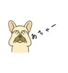 フレンチブルドッグのスタンプです。（個別スタンプ：15）