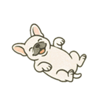 フレンチブルドッグのスタンプです。（個別スタンプ：24）