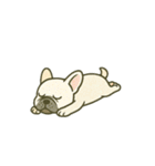 フレンチブルドッグのスタンプです。（個別スタンプ：38）