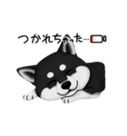 『柴犬』のスタンプ（個別スタンプ：1）