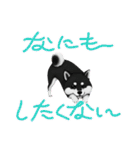 『柴犬』のスタンプ（個別スタンプ：2）