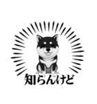 『柴犬』のスタンプ（個別スタンプ：3）