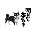 『柴犬』のスタンプ（個別スタンプ：5）