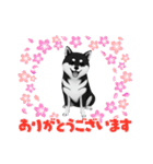『柴犬』のスタンプ（個別スタンプ：6）
