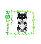 『柴犬』のスタンプ（個別スタンプ：7）
