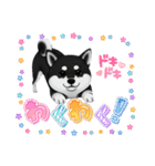 『柴犬』のスタンプ（個別スタンプ：8）