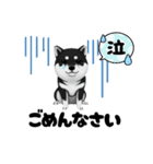 『柴犬』のスタンプ（個別スタンプ：9）