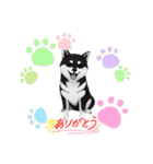 『柴犬』のスタンプ（個別スタンプ：11）