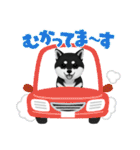 『柴犬』のスタンプ（個別スタンプ：16）