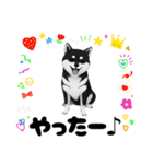 『柴犬』のスタンプ（個別スタンプ：19）