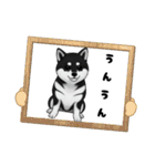 『柴犬』のスタンプ（個別スタンプ：21）