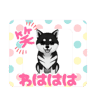 『柴犬』のスタンプ（個別スタンプ：22）