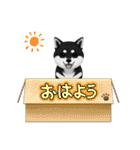 『柴犬』のスタンプ（個別スタンプ：29）