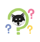 『柴犬』のスタンプ（個別スタンプ：33）