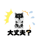 『柴犬』のスタンプ（個別スタンプ：34）