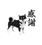 『柴犬』のスタンプ（個別スタンプ：36）