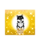 『柴犬』のスタンプ（個別スタンプ：38）