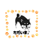 『柴犬』のスタンプ（個別スタンプ：40）