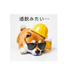 ぐでだる柴犬⭐酔いつぶれお正月(再販)（個別スタンプ：3）