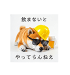 ぐでだる柴犬⭐酔いつぶれお正月(再販)（個別スタンプ：4）