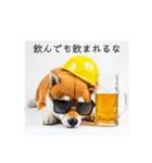 ぐでだる柴犬⭐酔いつぶれお正月(再販)（個別スタンプ：16）