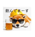 ぐでだる柴犬⭐酔いつぶれお正月(再販)（個別スタンプ：19）