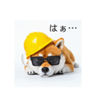 ぐでだる柴犬⭐酔いつぶれお正月(再販)（個別スタンプ：28）