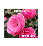梅雨どきの山野草を添えて 日常のご挨拶（個別スタンプ：39）