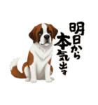 『セントバーナード』のスタンプ（個別スタンプ：2）